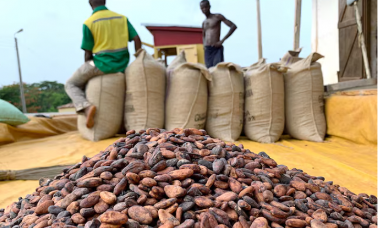 Ghana to Raise Cocoa Farmgate Price: A Boost for Farmers and the Cocoa Industry